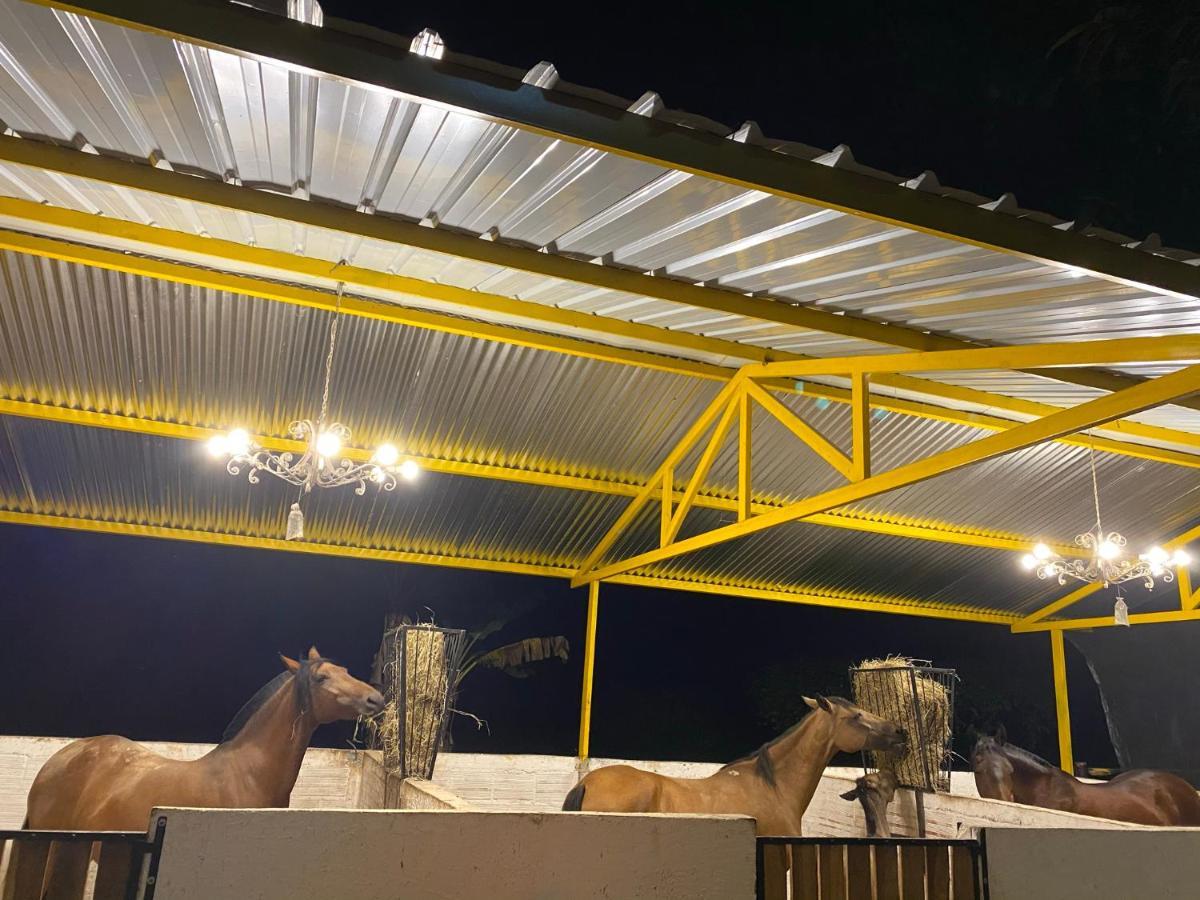 Hospedaje Rancho Guadalupe La Suiza エクステリア 写真