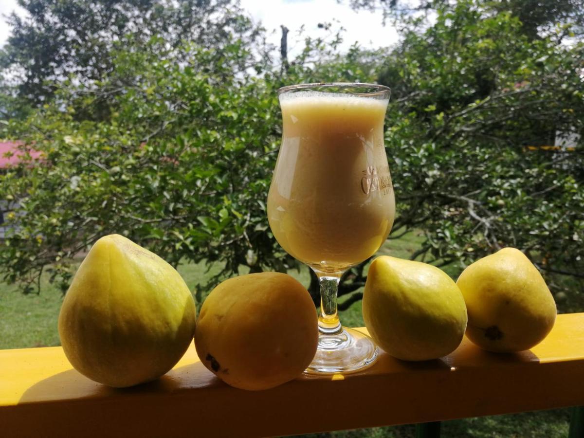 Hospedaje Rancho Guadalupe La Suiza エクステリア 写真
